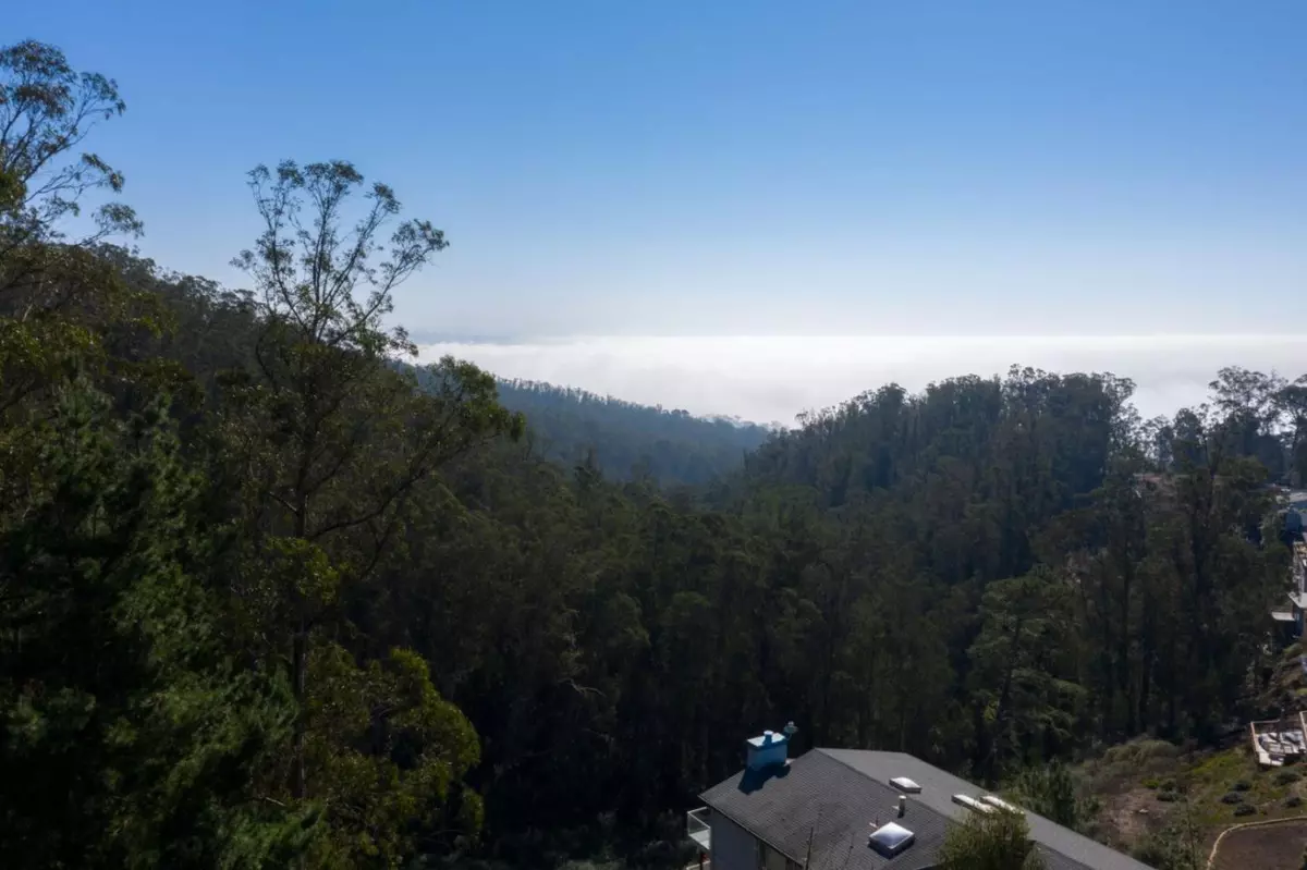 El Granada, CA 94019,000 Dolphine