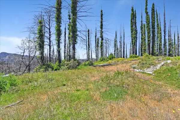 Boulder Creek, CA 95006,20195 Big Basin WAY