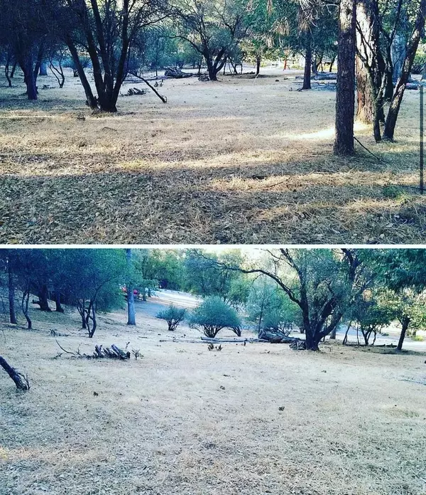 Groveland, CA 95321,20718 Rising Hill CIR