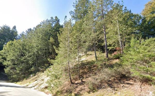 210 Blueberry DR, Scotts Valley, CA 95066