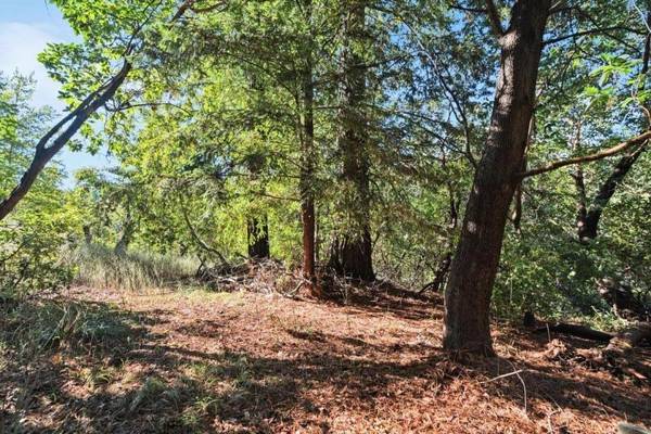 Lot 50 Middle Ellen RD, Los Gatos, CA 95033