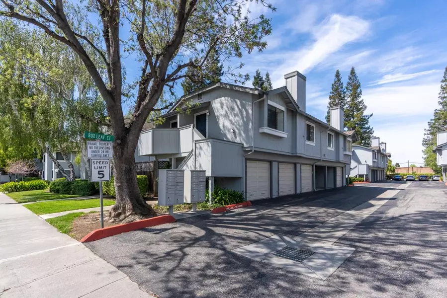 3565 Judro WAY, San Jose, CA 95117