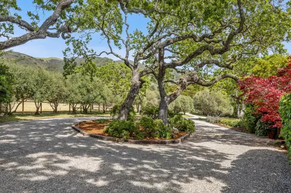 Carmel Valley, CA 93924,19 Ring LN