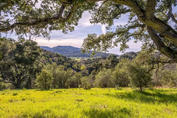 Carmel, CA 93923,7 Vasquez Trail (Lot 172)