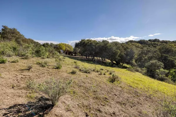 Carmel Valley, CA 93924,285 El Caminito RD