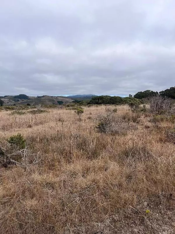 Half Moon Bay, CA 94019,110 Park AVE