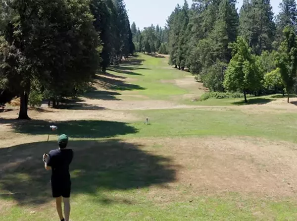 Murphys, CA 95247,280 Forest Meadows DR
