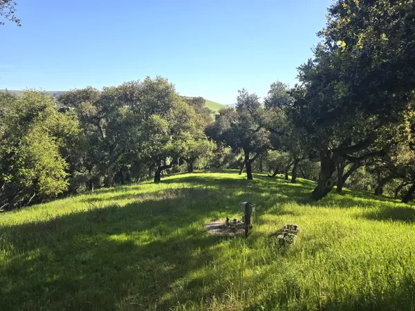 Carmel Valley, CA 93924,16 SLEEPY HOLLOW DR