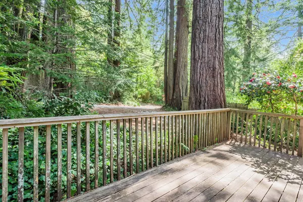 Woodside, CA 94062,13 & 15 Big Tree WAY