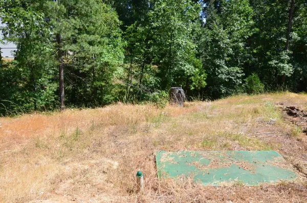 Avery, CA 95224,662 Roan WAY