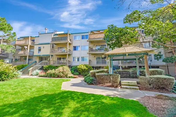 Daly City, CA 94015,373 Half Moon LN 307