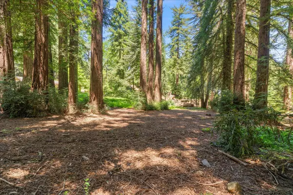 Los Gatos, CA 95030,0 Grove ST