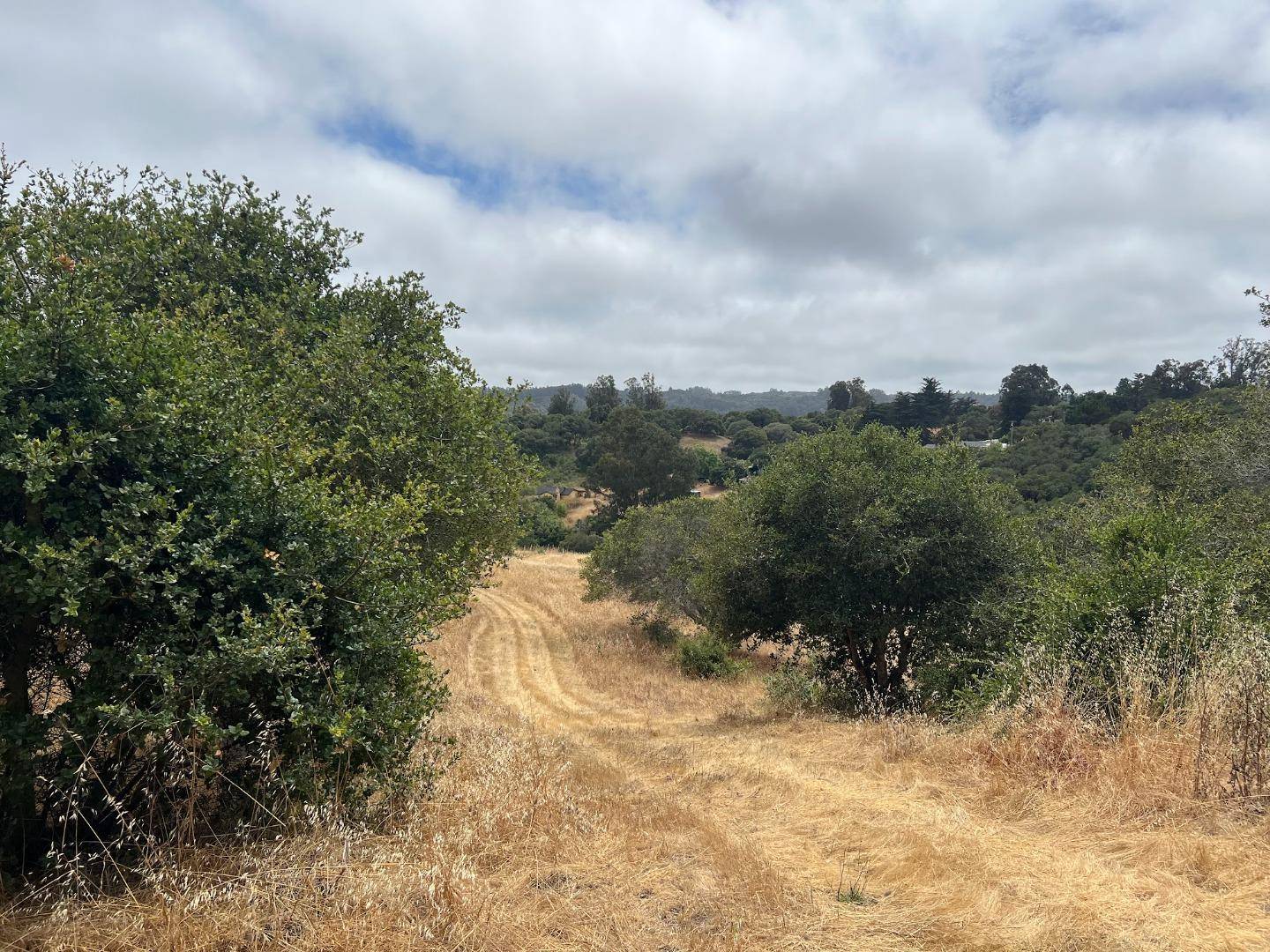 Royal Oaks, CA 95076,3230 Hillman LN