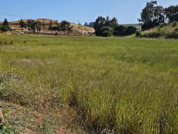 1203 Buena Vista DR, Watsonville, CA 95076