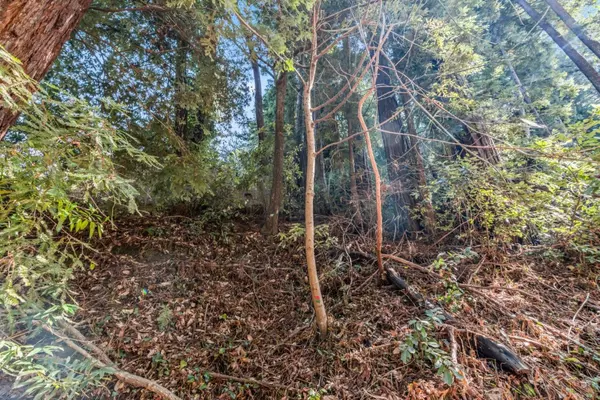 Felton, CA 95018,Lot 28 La Lena ST