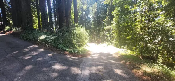 1080 Blue Ridge DR, Boulder Creek, CA 95006