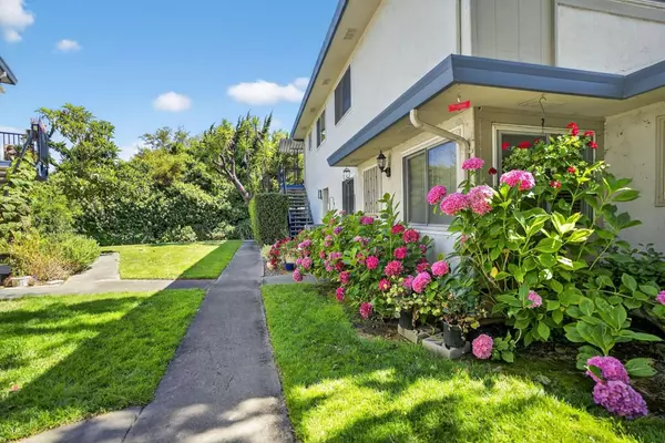 Campbell, CA 95008,287 Watson AVE 4