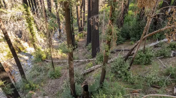 Boulder Creek, CA 95006,Lot 04 Boulder Brook DR