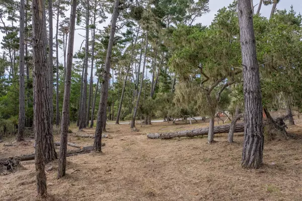 Pebble Beach, CA 93953,1070 Spyglass Woods DR