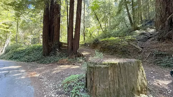 15645 Stetson RD, Los Gatos, CA 95033