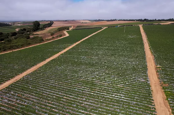 Salinas, CA 93907,0 CA-156