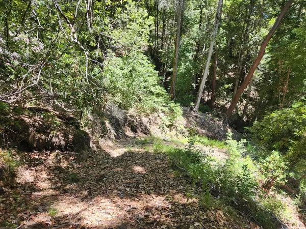 Boulder Creek, CA 95006,510 East RD