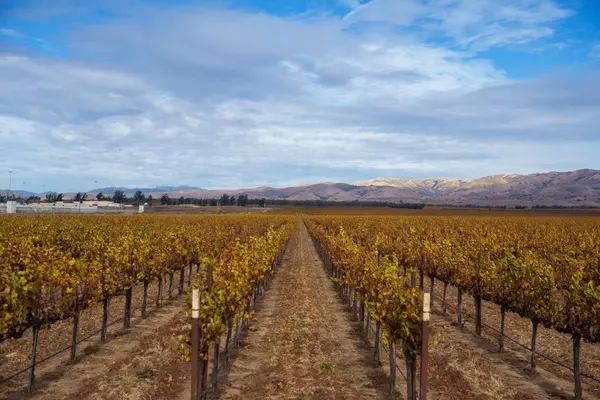 Soledad, CA 93960,31102 Camphora Gloria RD