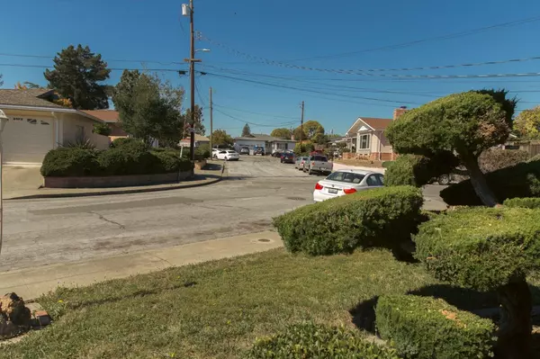 Castro Valley, CA 94546,3938 Bonsai PL