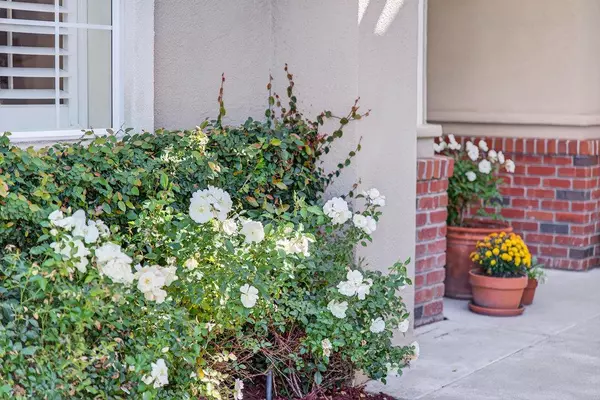 Aptos, CA 95003,217 Augusta LN