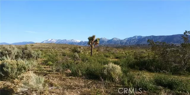 0 Vac/Cor Avenue V8 Pav /106th, Pearblossom, CA 93553