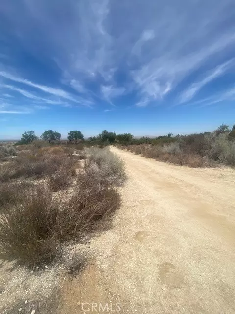 Llano, CA 93544,1 Vac/Vic Ft Tejon Rd/160 Ste