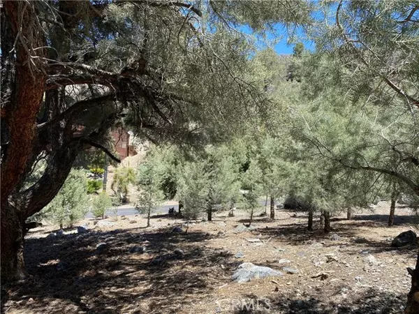 Pine Mtn Club, CA 93222,15120 Acacia WAY