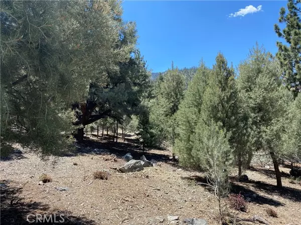 Pine Mtn Club, CA 93222,15120 Acacia WAY