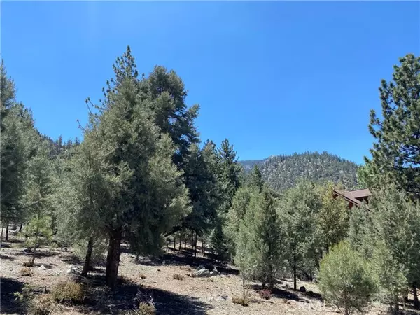 Pine Mtn Club, CA 93222,15120 Acacia WAY