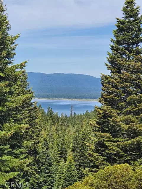 Lake Almanor, CA 96137,158 Dinsmore DR