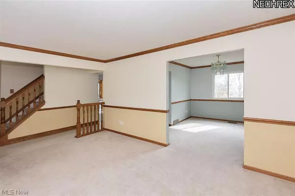 Brunswick, OH 44212,3146 Holly DR