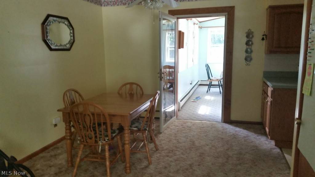 Geneva, OH 44041,204 Ruth ST