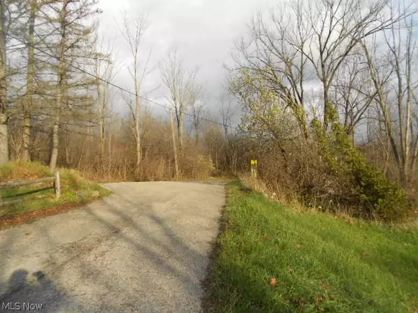 Newbury, OH 44065,11778 Driftwood DR