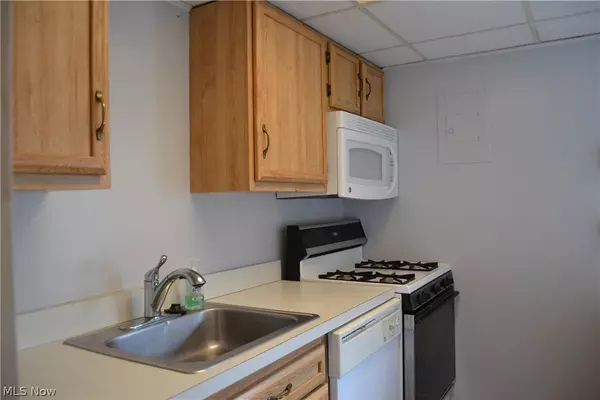 Painesville, OH 44077,1651 Mentor AVE #102