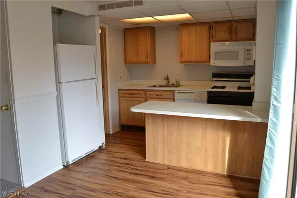 Painesville, OH 44077,1651 Mentor AVE #102