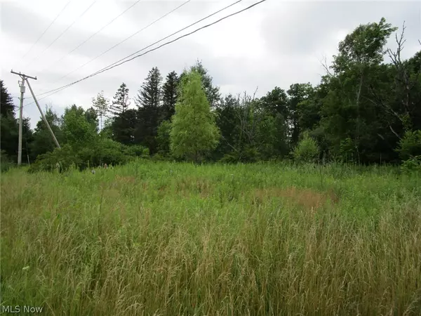 Cherry Valley, OH 44032,State Route 193