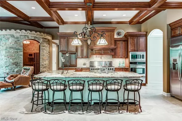 Columbia Station, OH 44028,24656 Eagle Pointe CT