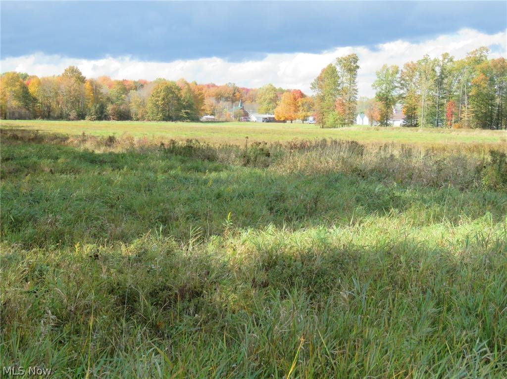 6950 State Route 303, Freedom, OH 44266