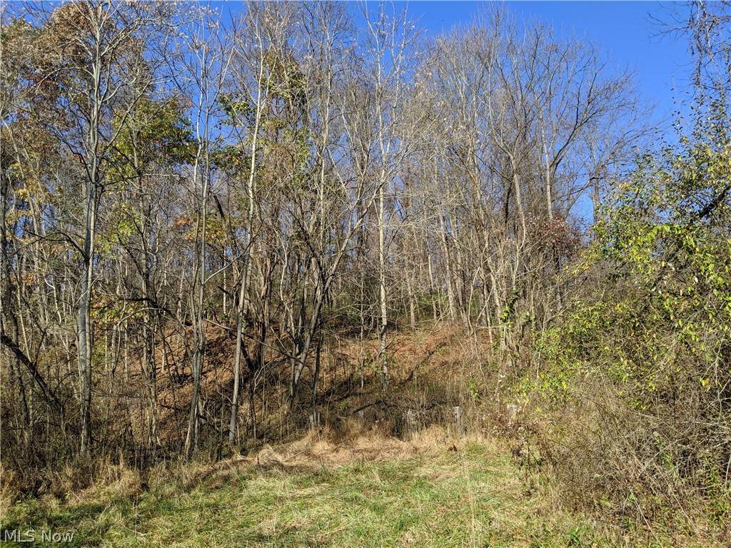 999999 Morgan Run RD, Coshocton, OH 43812
