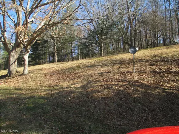 Byesville, OH 43723,58733 Trail Run RD