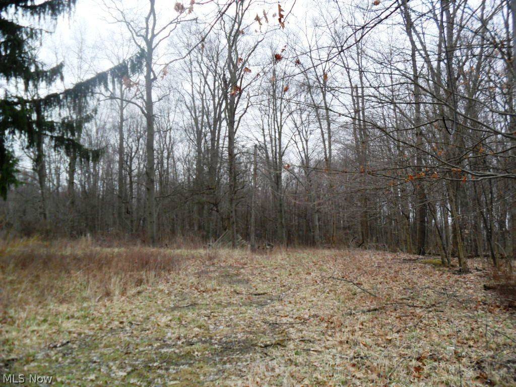 Nelson, OH 44231,11212 Hopkins RD