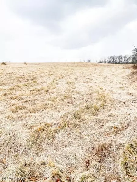 0 Red Lane, Byesville, OH 43723