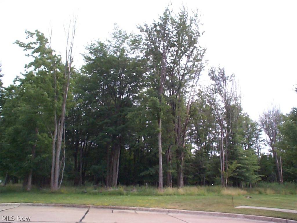 Cleveland, OH 44105,7710 Rosewood AVE