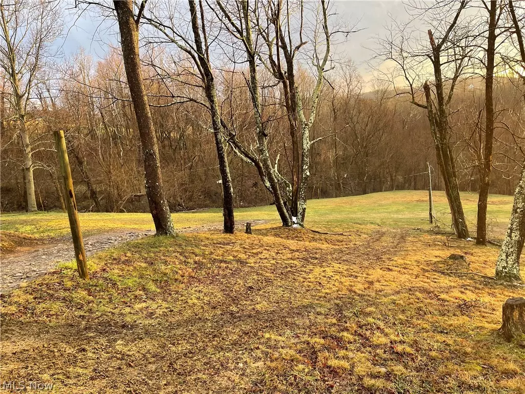 Powhatan Point, OH 43942,TBD Arman Hill RD