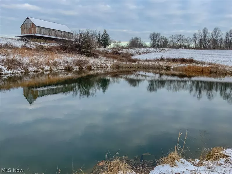 Buckeye Ridge RD, Chesterhill, OH 43728